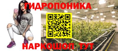 ПСИЛОЦИБИНОВЫЕ ГРИБЫ Нарткала