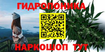 мескалин Нальчик