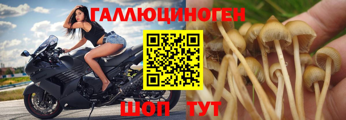 Псилоцибиновые грибы MAGIC MUSHROOMS Стрежевой