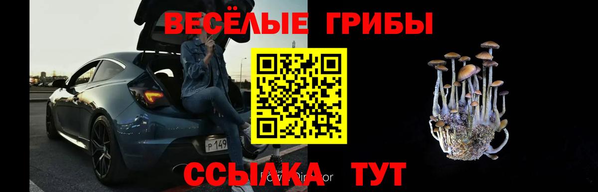 Стрежевой  Галлюциногенные грибы GOLDEN TEACHER  Вход с VPN  Псилоцибиновые грибы Psilocybe 